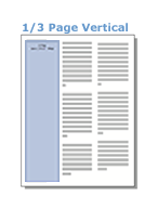 Digital One-Third (1/3) Page Ad