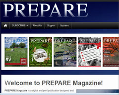 Website Link Placement